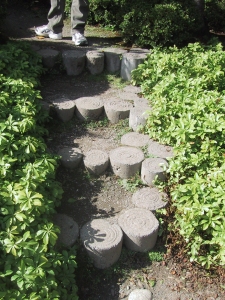 Stepping Stones in the Japanese Garden